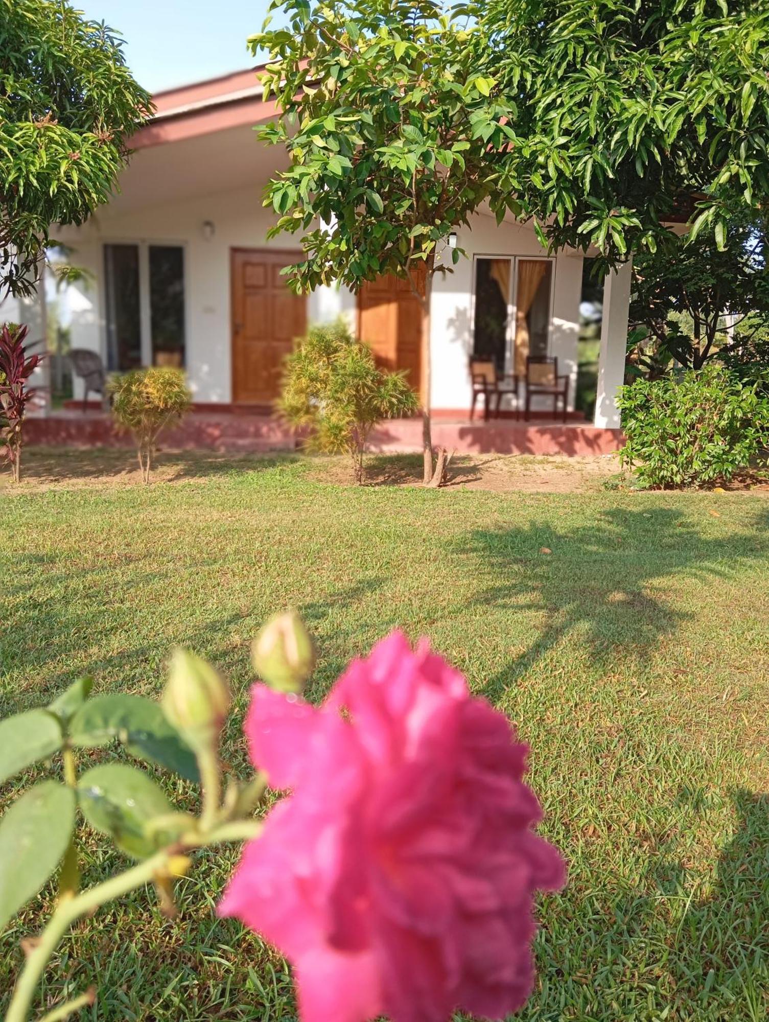 Jeys Place Nilaveli Εξωτερικό φωτογραφία