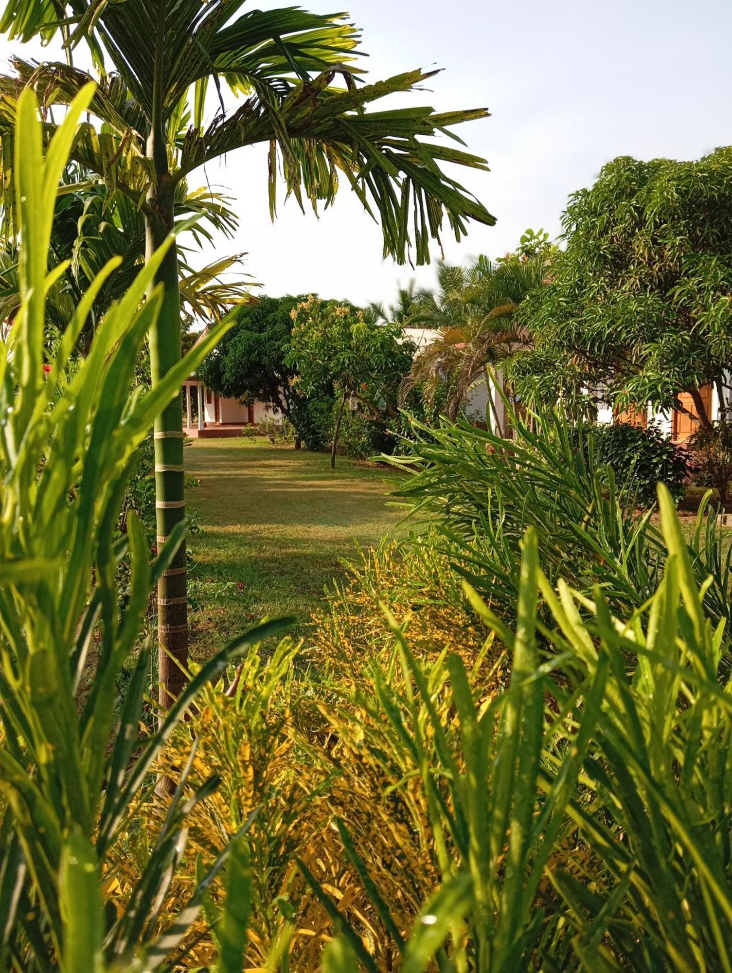 Jeys Place Nilaveli Εξωτερικό φωτογραφία